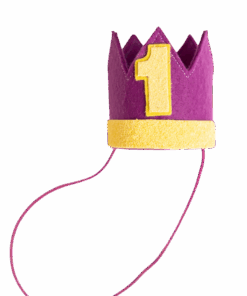 Corona de fieltro morada y amarilla