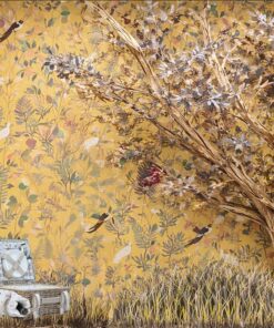 Golden Hour Set EXCLUSIVO con fotógrafas del staff