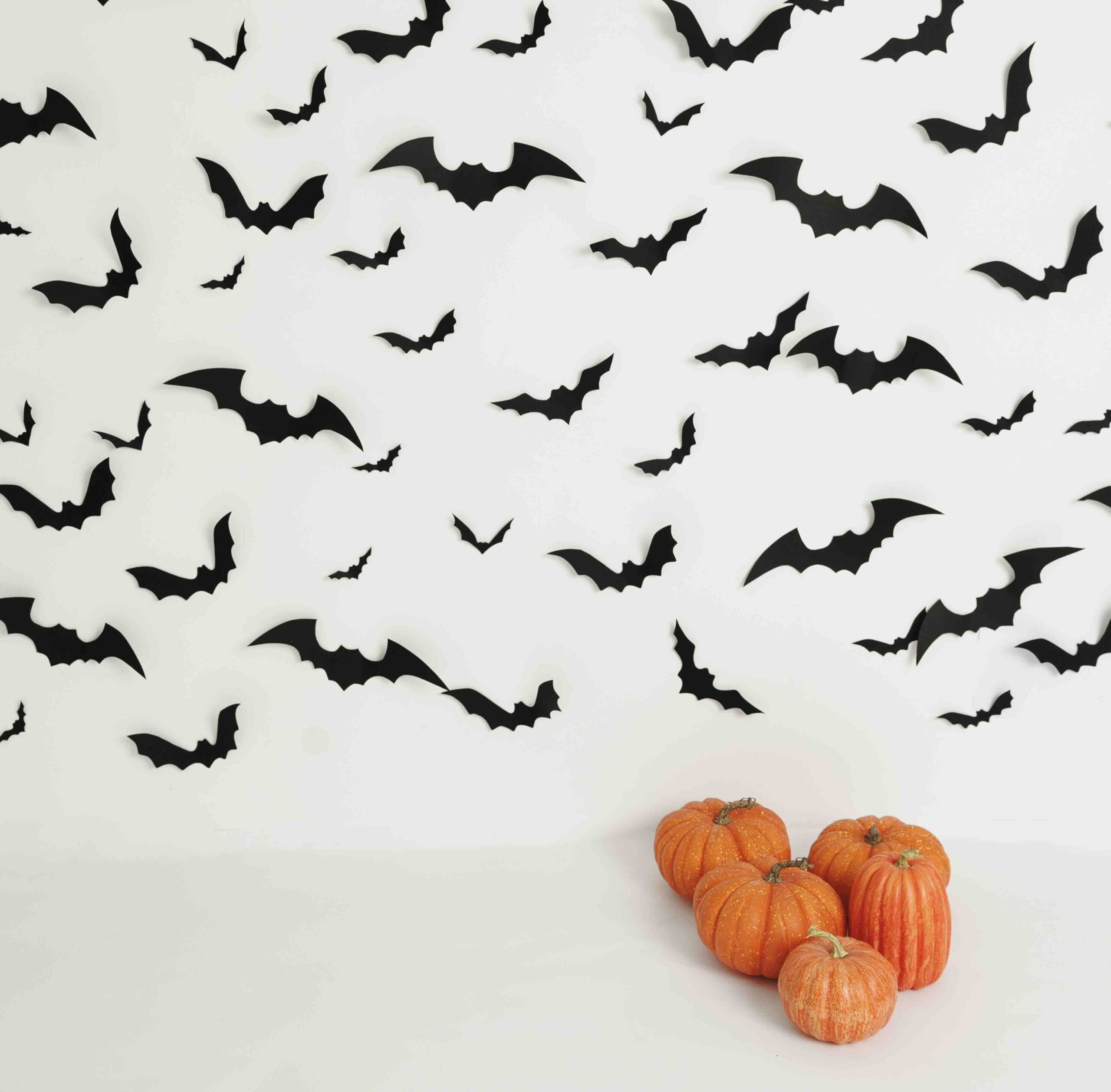 Halloween Murcielagos 2026 pruebas-33